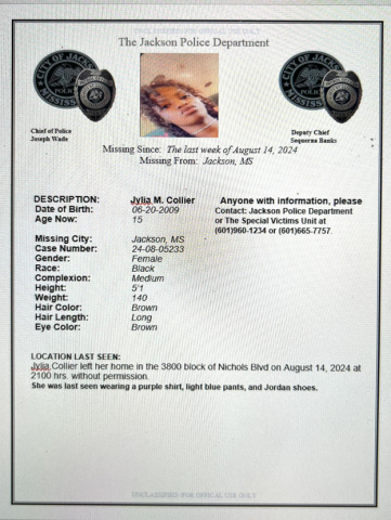 Jylia Collier_Report